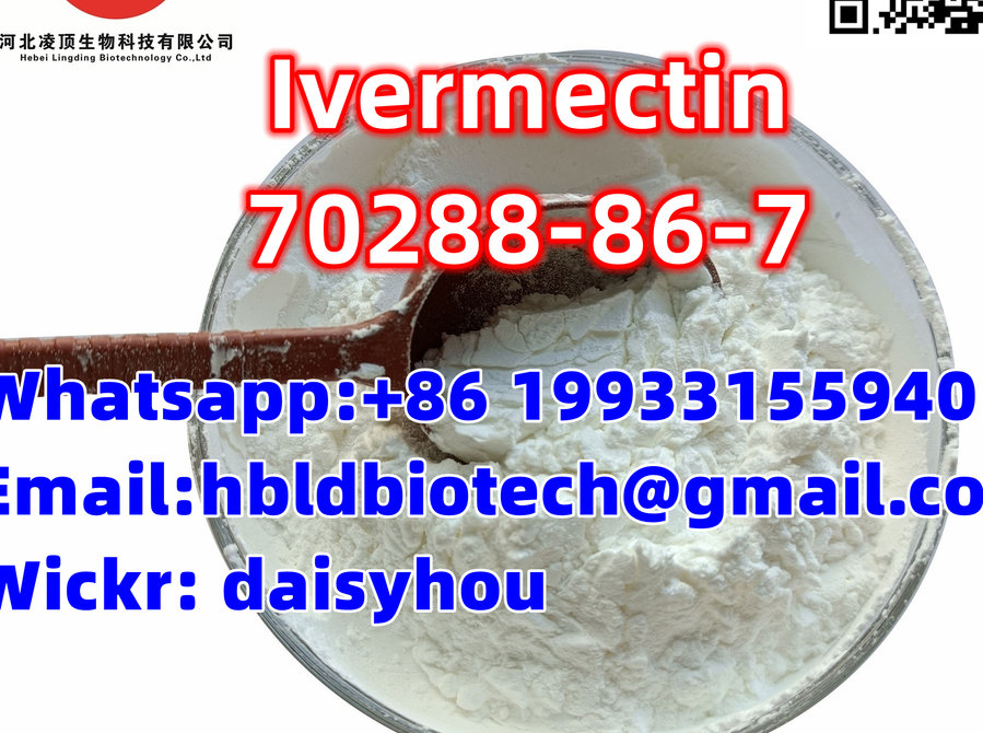 veterinary Medicine Ivermectin Cas: 70288-86-7 Antiparasitic - Buy & Sell: Other