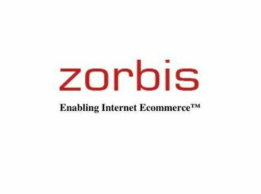 Expand Your Business Reach with Zorbis's iPad App Developer - Services: Other