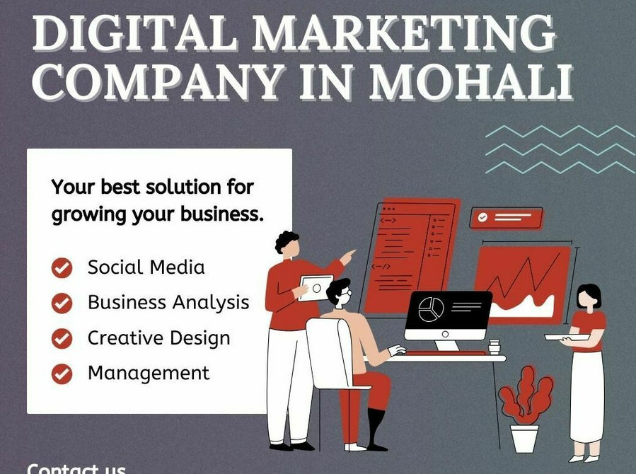 Best Digital Marketing Company in Mohali - Services: Other