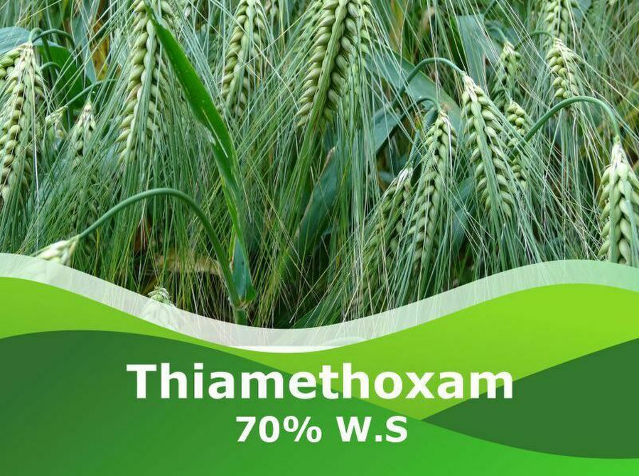 Get Best Thiamethoxam 70% Ws at Peptech Biosciences Ltd - Buy & Sell: Other