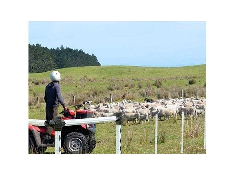 Reliable Post and Rail Fence Supplies at Fsp New Zealand - Outros