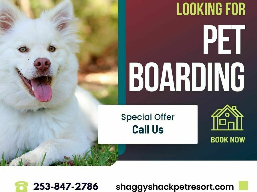 Looking for Pet Boarding Services in Tacoma? - Services: Other