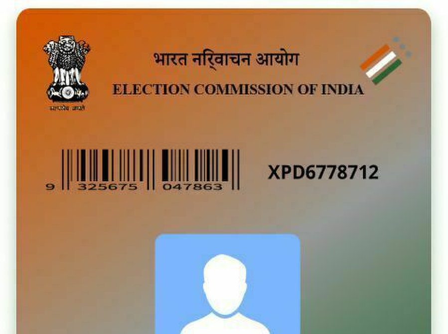 Voter Id Verification Api - Services: Other