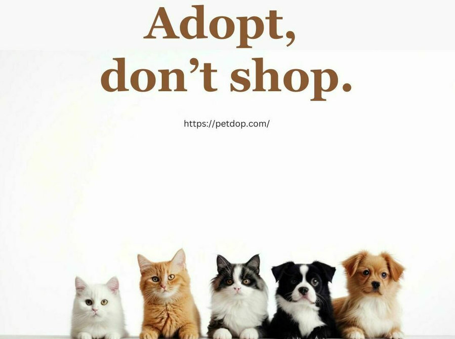 Pet Adoption Awareness - Pets/Animals