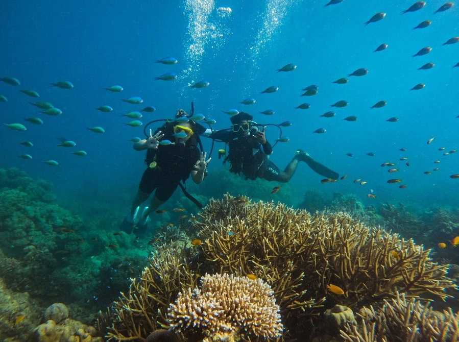 Book Scuba Diving in Havelock - Explore Colorful Marine Life - Annet