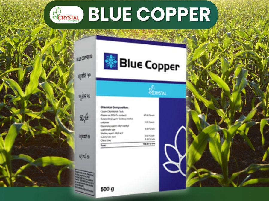 The Advantages of Blue Copper with Krigenic Agri Pharma - Gardening